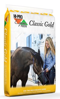 Classic Gold Bag