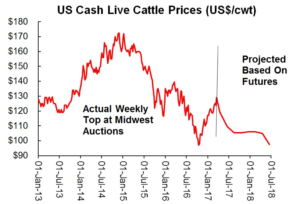 Live Cattle Futures Price Chart