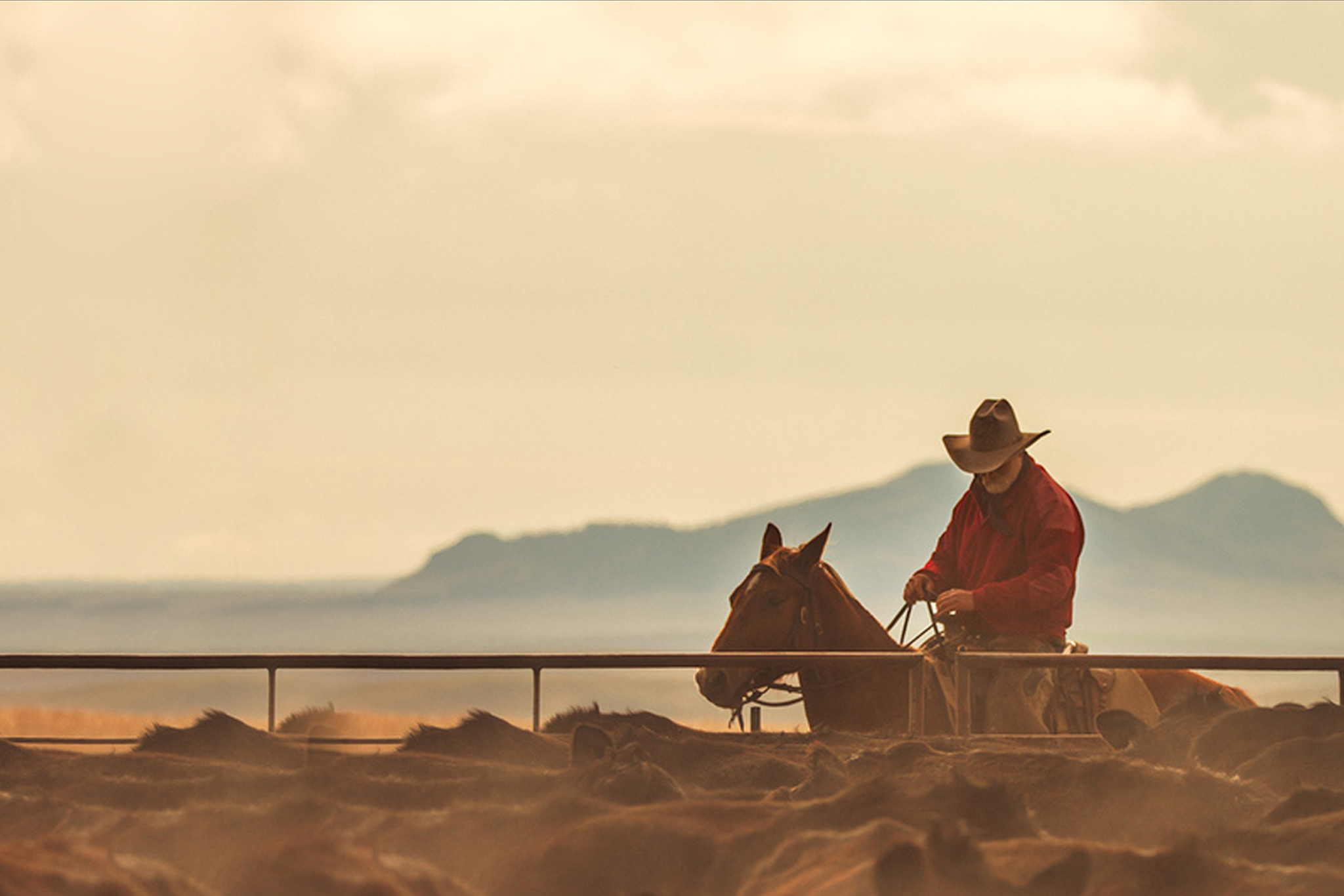 Rancher working cattle on horseback