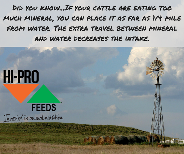Did you know...if your cattle are eating too much mineral, you can move it further from water.