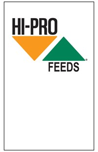 Plain Feed Bag