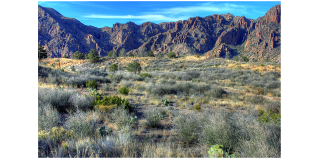 Photo of mountains from Big Bend National Park