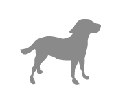 dog icon