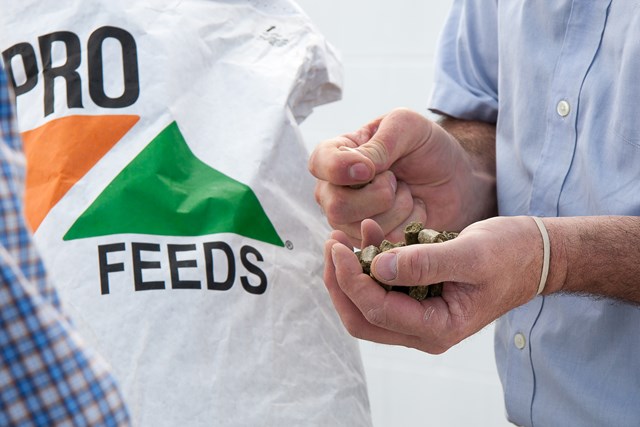 hands holding alfa-pro cubes with bag in background