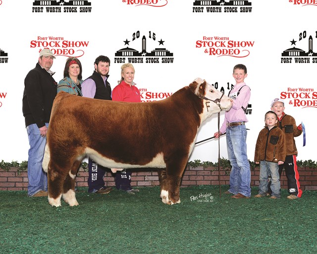 Collin Welper at 2015 Fort Worth Stock Show