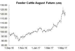 Feeder Cattle Index Chart