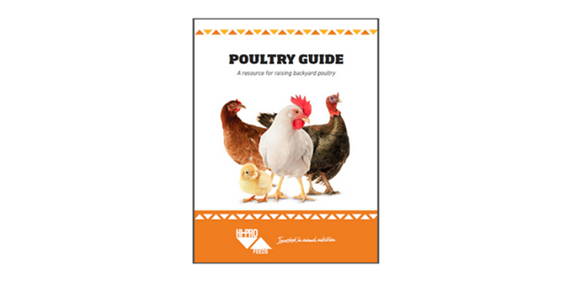 Cover of the Backyard Poultry Guide