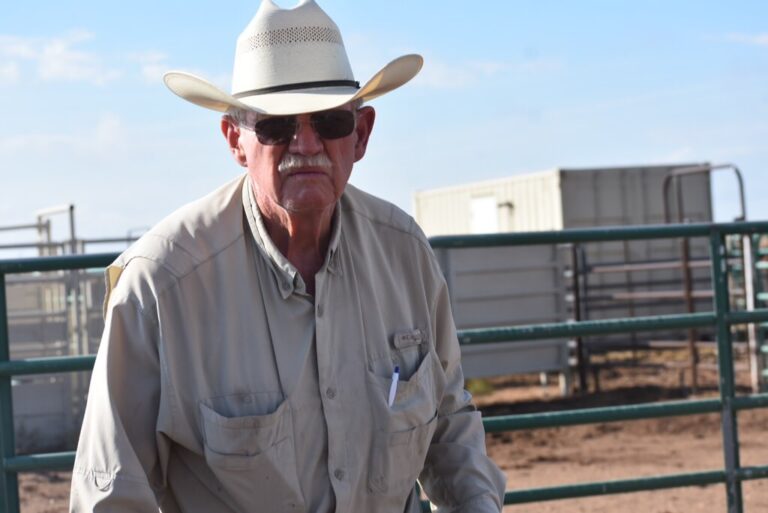 Bill Stovell